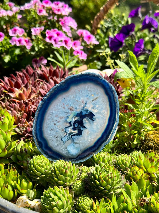 Agaat schijf (medium)